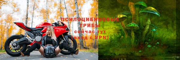 прущие крисы Балахна